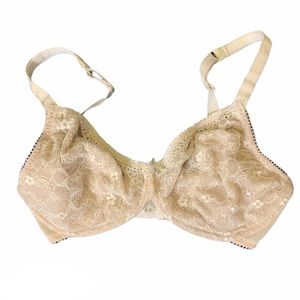 {Whimsy} Lace Bra Neutral Sexy Bra 34DDD